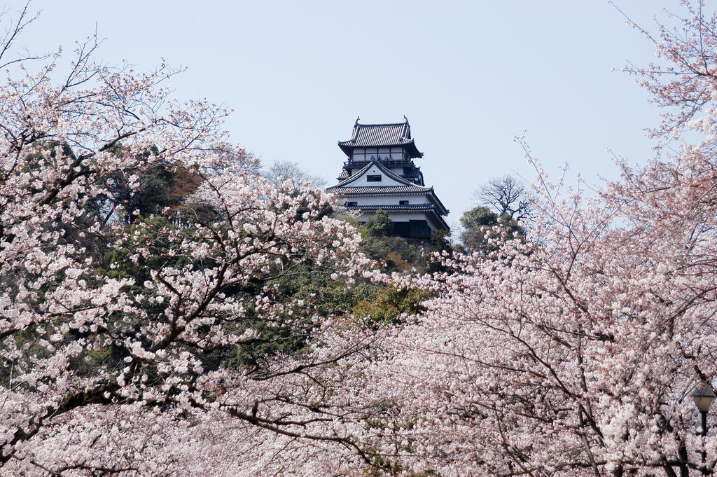 Meitetsu Hotel Inuyama Aichi Экстерьер фото